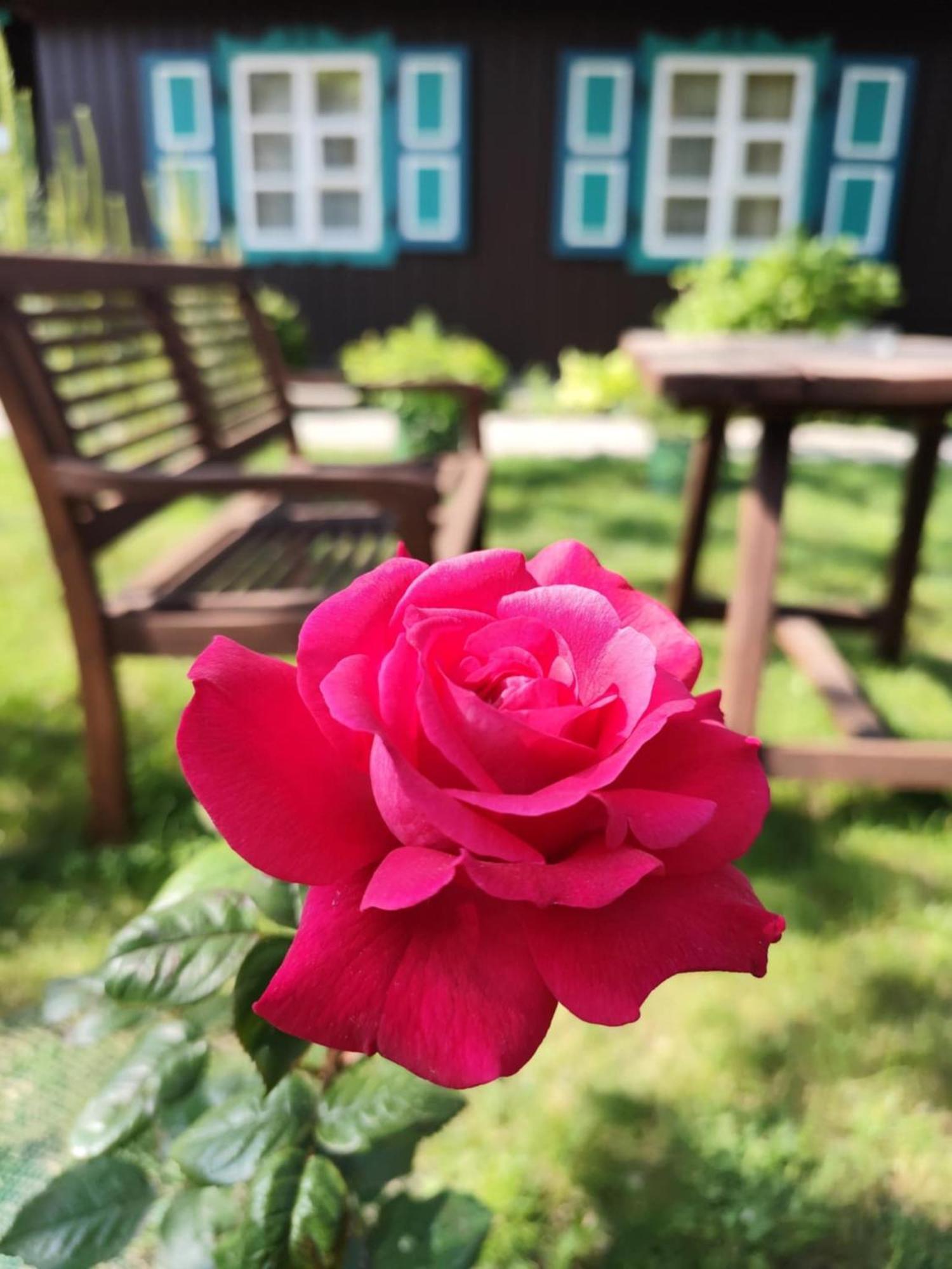 Vila Jelita Nida Buitenkant foto